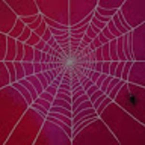 Meet your Posher, Aiy